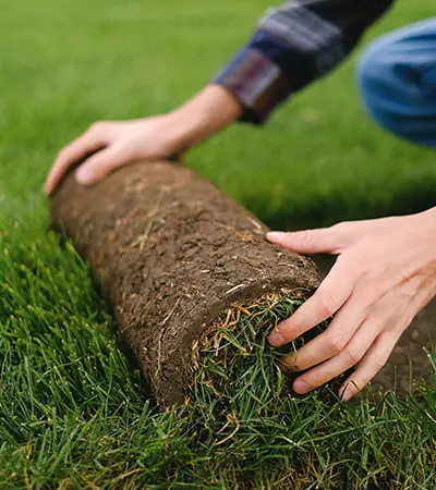 Gartenbau, Garten, Weg